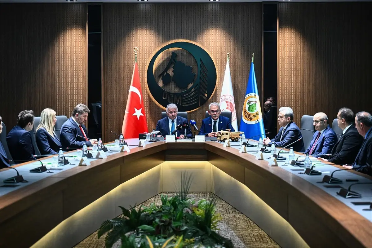 THY ve OGM'den Ağaçlandırma İşbirliği Protokolü
