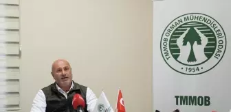 Orman Mühendisleri Odası, orman yangınlarının önlenmesi için toplumsal farkındalığın artırılmasını istedi