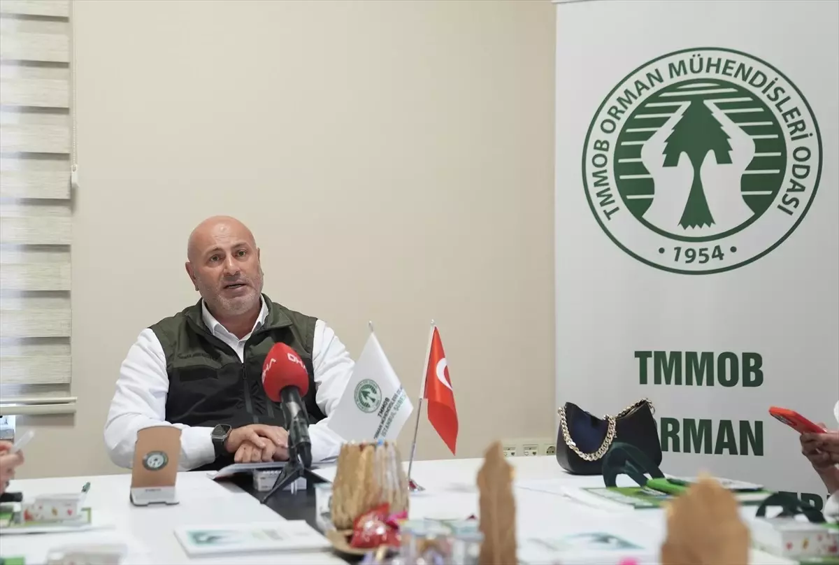 Orman Mühendisleri Odası, orman yangınlarının önlenmesi için toplumsal farkındalığın artırılmasını istedi