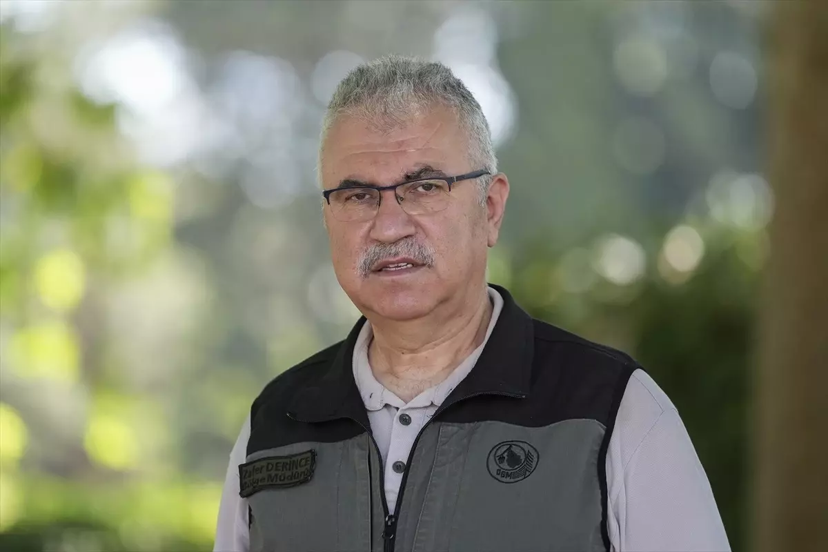 İstanbul Orman Müdürü Yangınları Önlemek İçin Uyardı