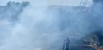 Osmancık'ta Anız Yangını: 100 Dönüm Zarar Gördü