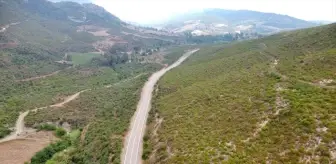 Osmaniye Ormanları Yeniden Yeşeriyor