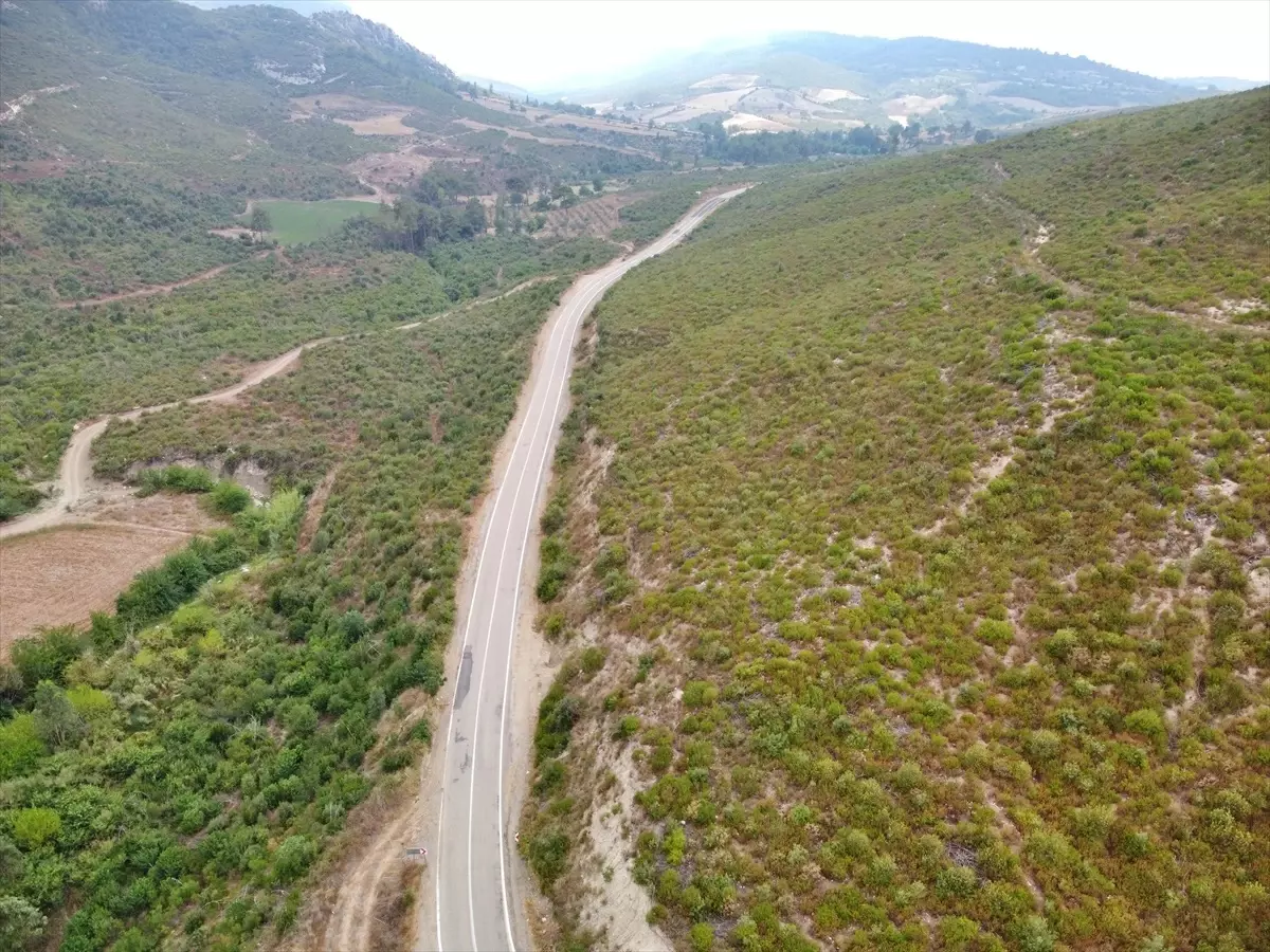 Osmaniye Ormanları Yeniden Yeşeriyor