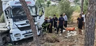 Osmaniye'de ağaca çarpan tırın sürücüsü yaralandı
