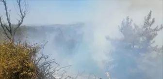 Osmaniye'de Orman Yangını Kontrol Altına Alındı