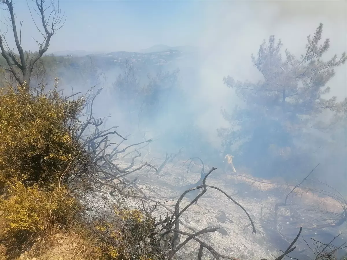 Osmaniye'de Orman Yangını Kontrol Altına Alındı