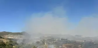 Osmaniye'de Orman Yangını Kontrol Altına Alındı