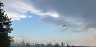 Osmaniye'de Orman Yangınına Havadan ve Karadan Müdahele