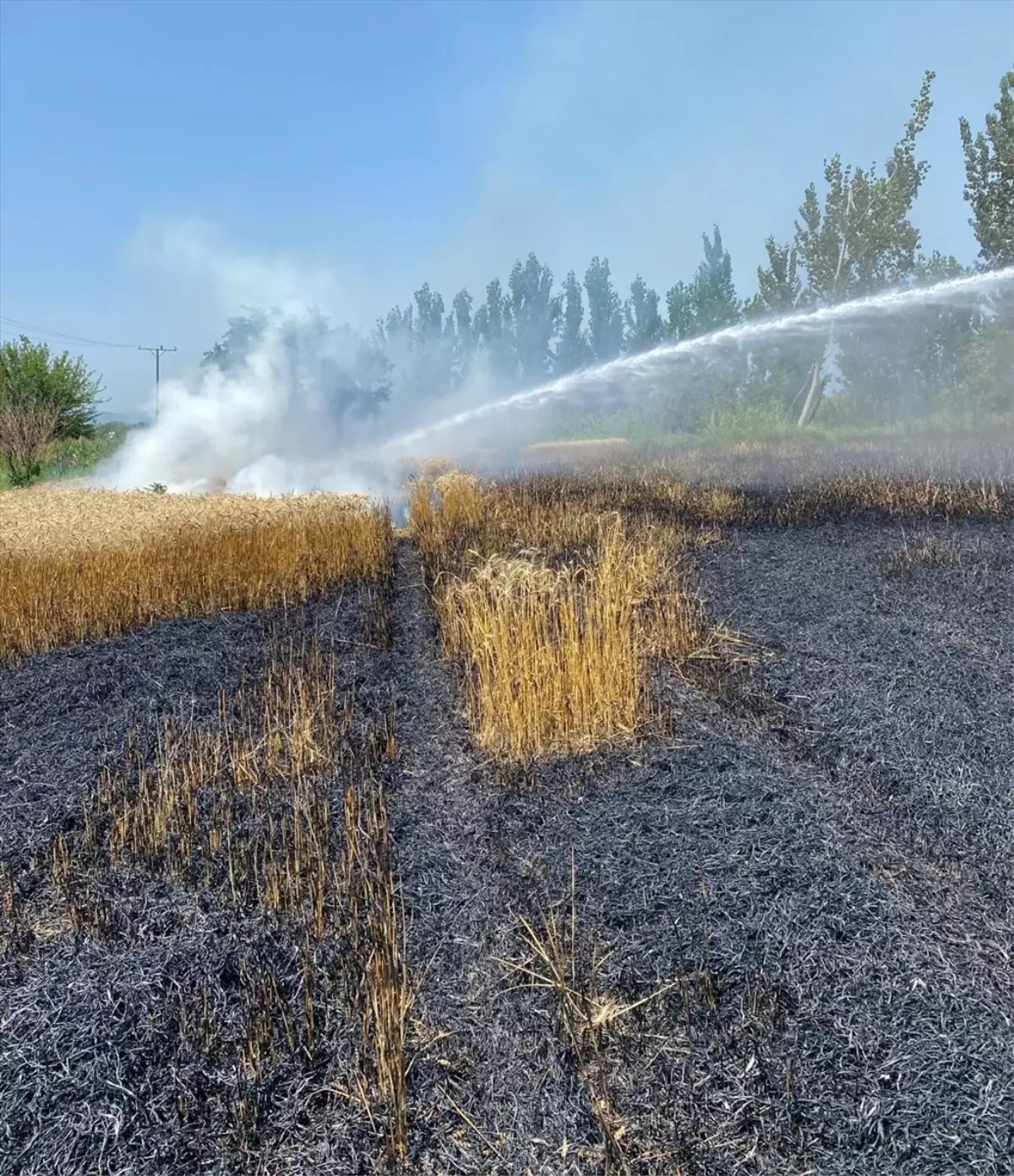 Osmaniye'de Buğday Tarlasındaki Yangın 20 Dönüm Zarara Yol Açtı