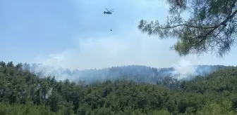 Osmaniye Kadirli'de Orman Yangınına Hava ve Kara Müdahelesi