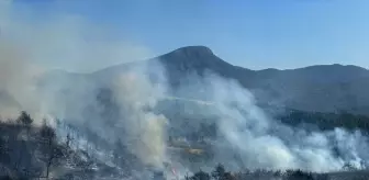 Osmaniye'de orman yangını çıktı
