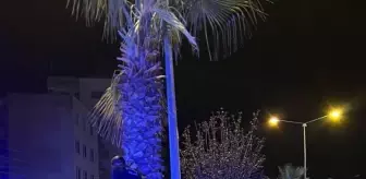 Osmaniye'de Trafik Kazası: Sürücü Hayatını Kaybetti