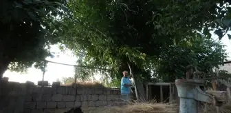 Emekli Astsubay, Kayseri'de Şehir Ortasında Köy Hayatı Yaşıyor