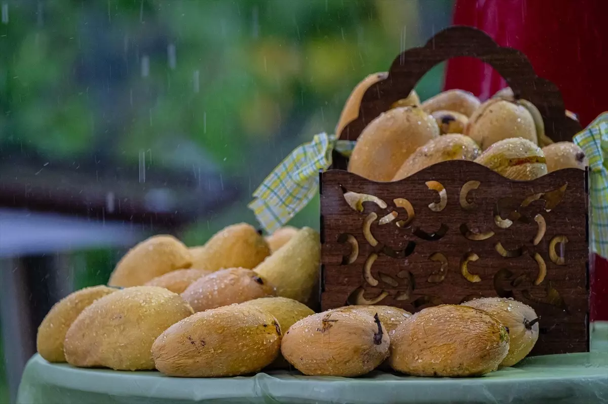 Pakistan'ın Ankara Büyükelçiliği'nde Mango Festivali Düzenlendi