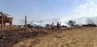 Bilecik'te Saman Balyaları Yandı