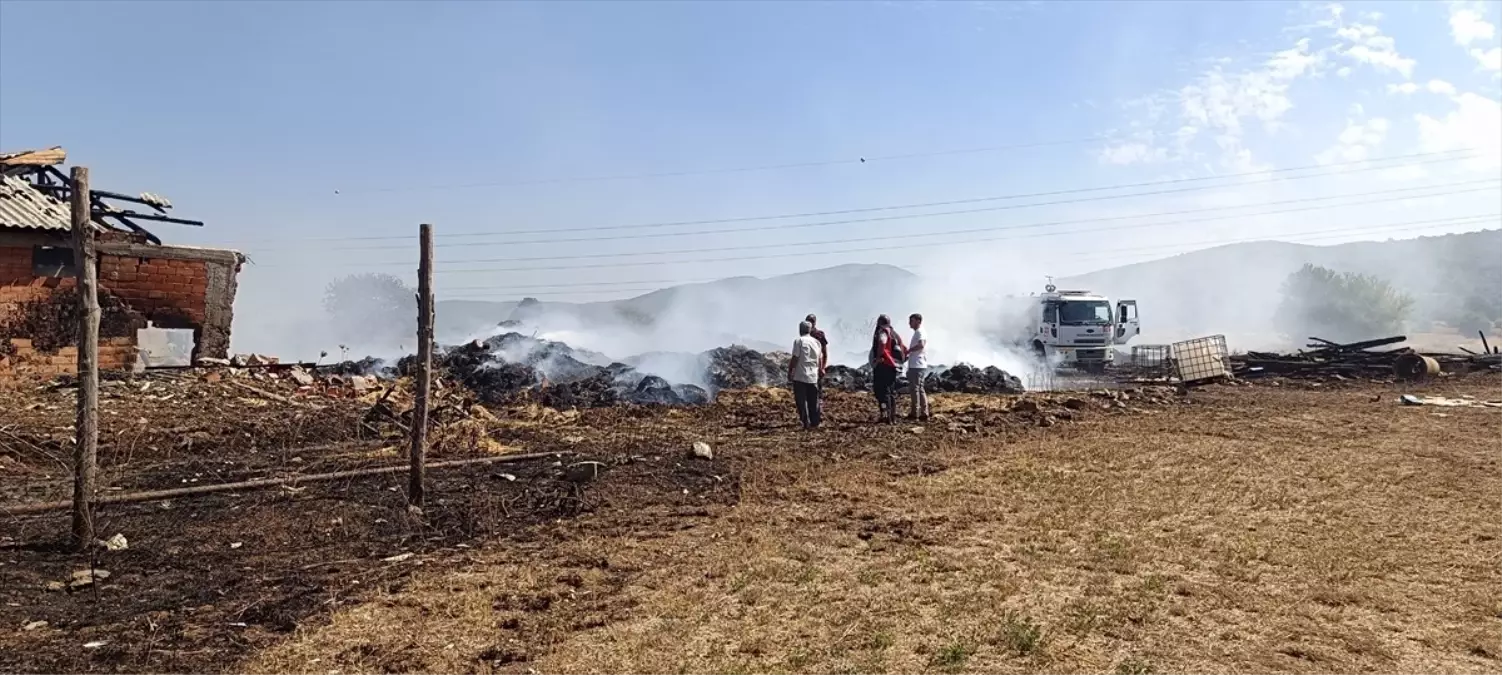Bilecik'te Saman Balyaları Yandı