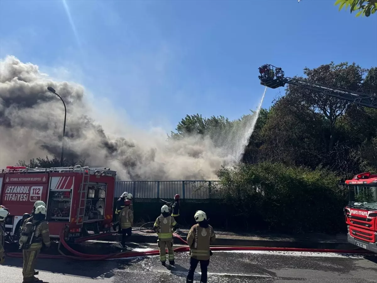 Pendik'te İSKİ Arıtma Tesisinde Yangın Çıktı