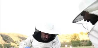 Pursaklar Belediyesi'nden Yerli ve Organik Bal Projesi