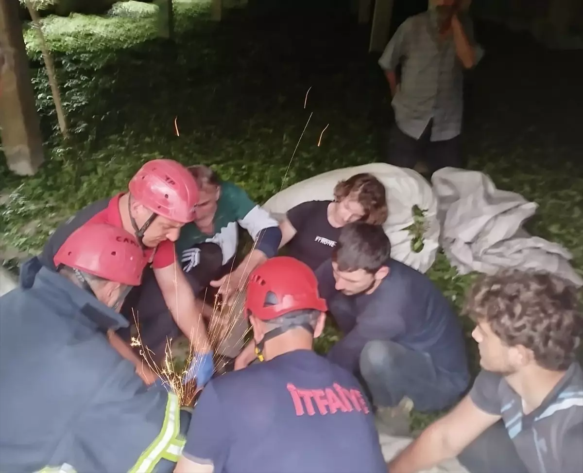 Güneysu'da Dirgen Saplanan Genç Hastaneye Kaldırıldı