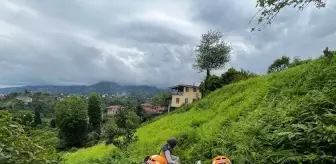 Rize'de Çay Bahçesinde Düşme Kazası: 69 Yaşındaki Kadın Yaralandı