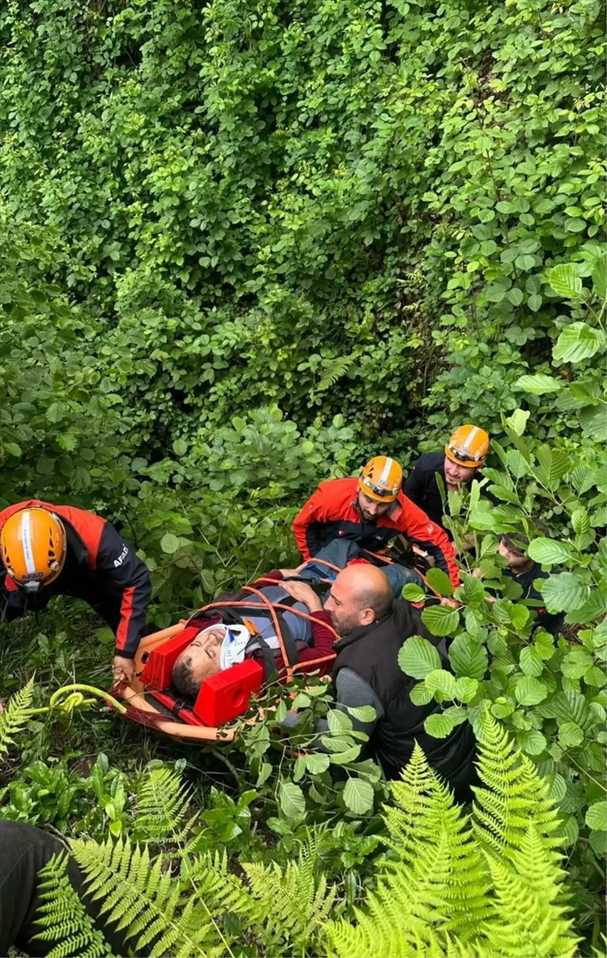 Rize'de Çay Hasadı Sırasında Yamaçtan Yuvarlanan Kişi Yaralandı