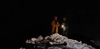 Rize'de Çığ Faciasında 15 Kişi ve 8 Hayvan Kurtarıldı