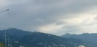 Çayeli'nde Trafik Kazası: 2 Ölü, 3 Yaralı
