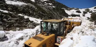 Rize'de Karla Mücadele Çalışmaları Devam Ediyor
