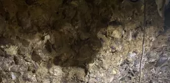 Rüyasında gördüğü için tünel kazarak define arayan anne ile oğlu yakalandı