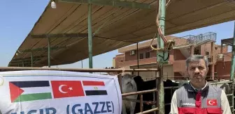 Sadakataşı Derneği Gazze İçin Mısır'da Kurban Kesimi Yaptı