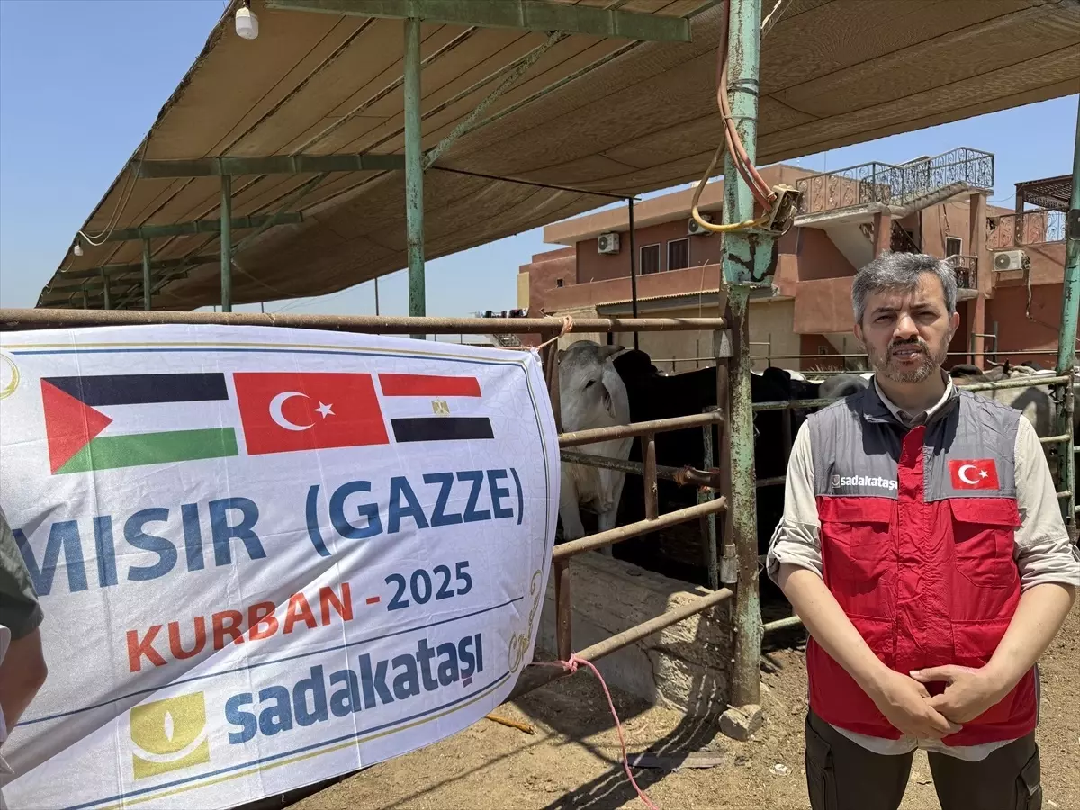 Sadakataşı Derneği Gazze İçin Mısır'da Kurban Kesimi Yaptı