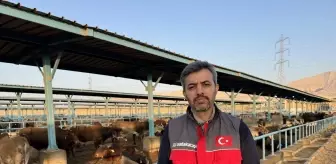 Sadakataşı Derneği'nden Gazze'ye Kurban Yardımı