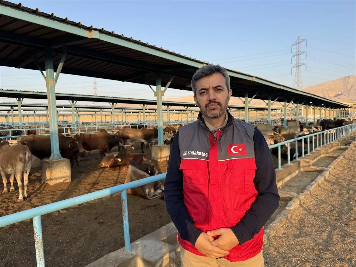 Sadakataşı Derneği'nden Gazze'ye Kurban Yardımı