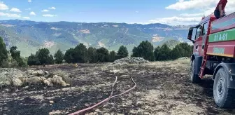 Adana Saimbeyli'de Anız Yangını Kontrol Altına Alındı