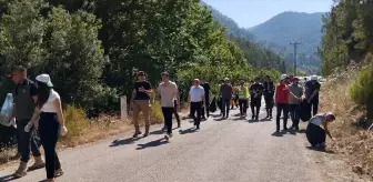 Saimbeyli'de Gönüllüler Ormanlık Alanı Temizledi