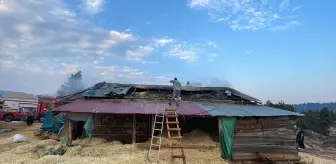 Adana'da Samanlık Yangını Söndürüldü