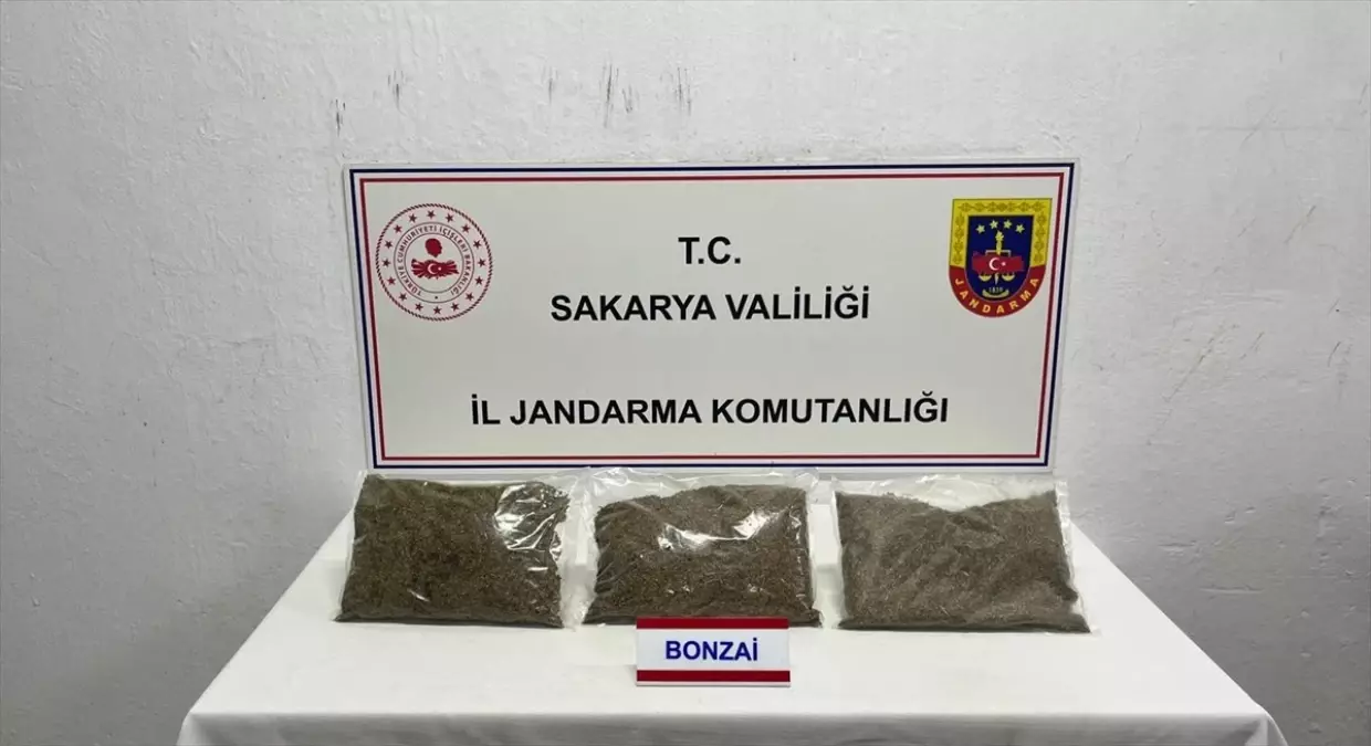 Sakarya'da Uyuşturucu Operasyonu: 2 Kilo 750 Gram Ele Geçirildi