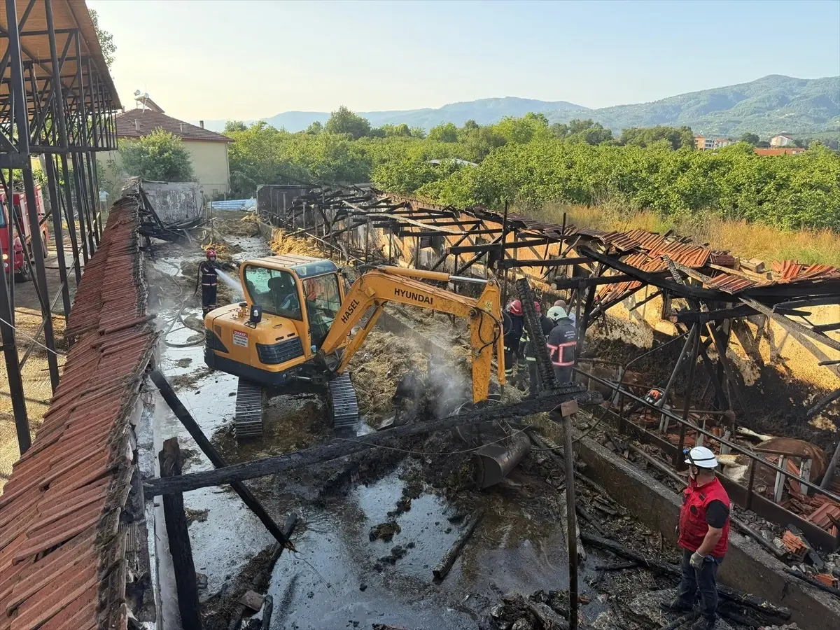 Karapürçek'te Ahır Yangını: 16 Büyükbaş Hayvan Telef Oldu