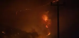 Sakarya'da Orman Yangını: İki Mahalle Boşaltıldı