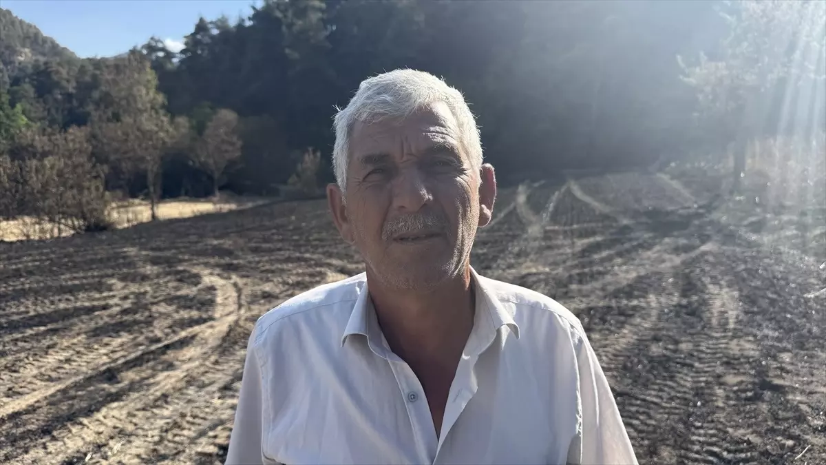 Sakarya'da Orman Yangını Çiftçiyi Vurdu: Ekinler ve Tarım Aletleri Zarar Gördü