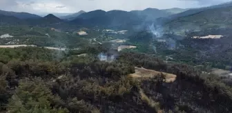 Sakarya-Bilecik Sınırında Orman Yangını Kontrol Altına Alınıyor
