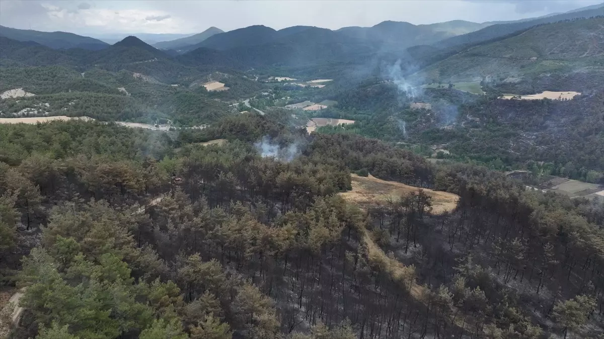 Sakarya-Bilecik Sınırında Orman Yangını Kontrol Altına Alınıyor