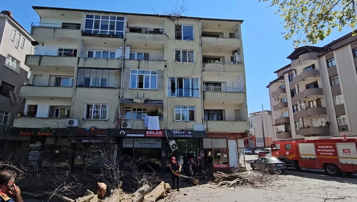 Sapanca'da Çınar Ağacı Apartmanın Üzerine Devrildi