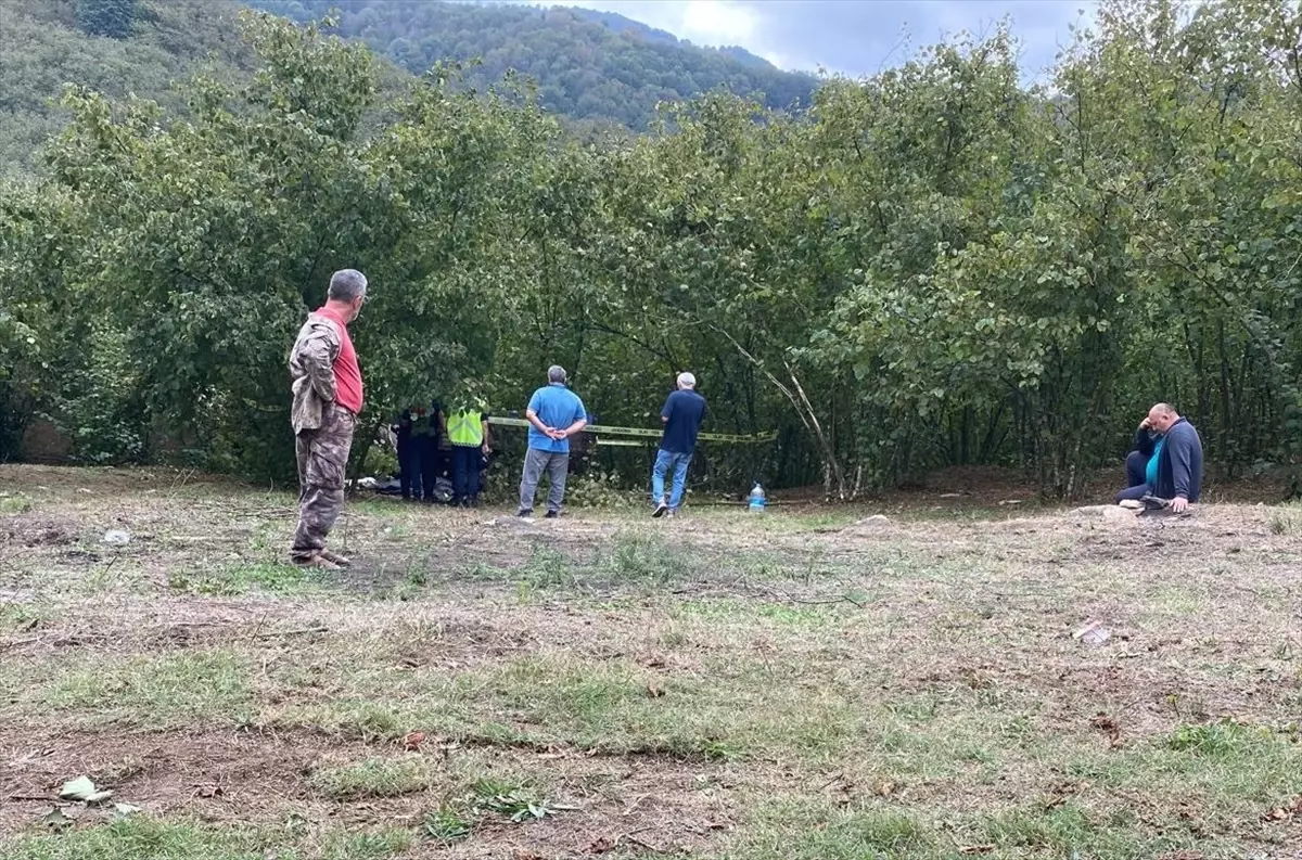 Traktör Devrildi: 88 Yaşındaki Ali Uygun Hayatını Kaybetti