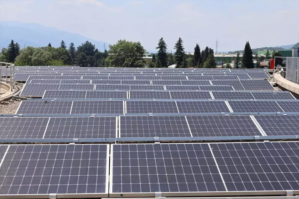 Sakarya'da Güneş Enerji Santrali İle 40 Ton Karbondioksit Emisyonu Önleniyor