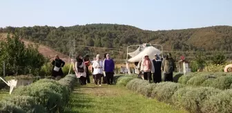 Kanser Hastası Kadınlar Lavanta Bahçesinde Morale Kavuştu