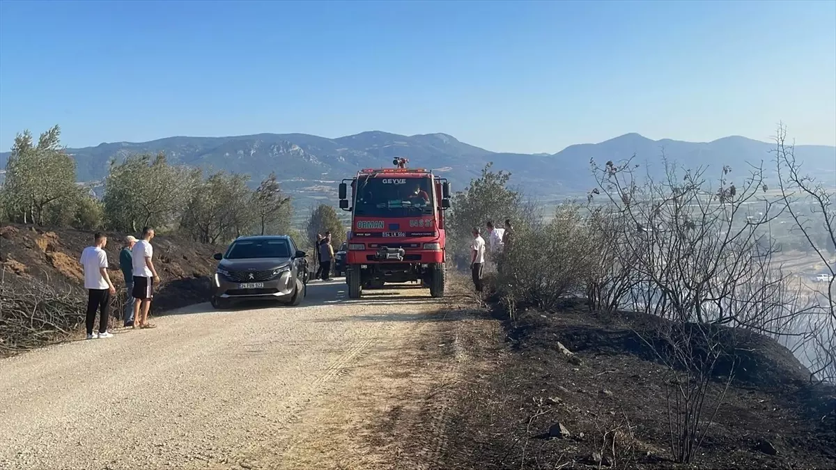Pamukova'da çıkan yangın kontrol altına alındı
