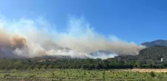 Sakarya'nın Pamukova İlçesinde Yangın Çıktı