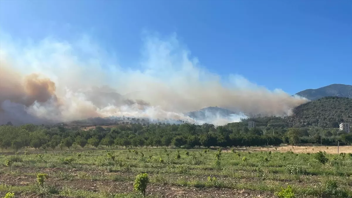 Sakarya'nın Pamukova İlçesinde Yangın Çıktı