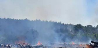 Sakarya'da Orman İşletme Deposunda Yangın Çıktı